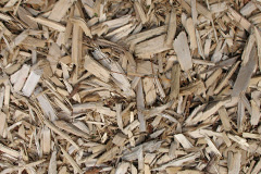 biomass boilers Foxwood